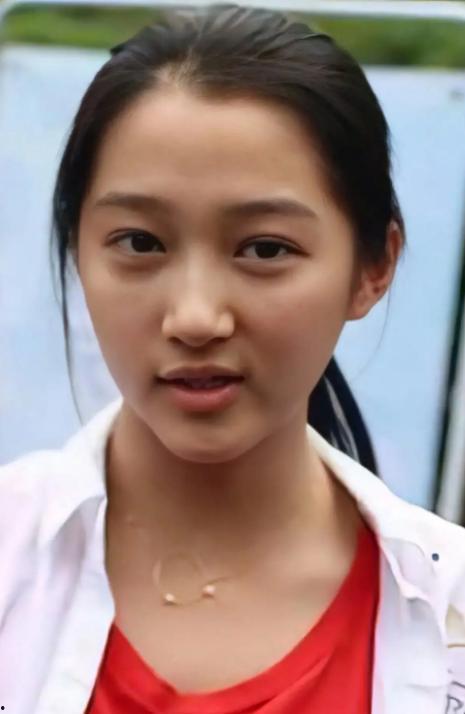 明星网红谁最火的,2023年度最火爆明星网红盘点