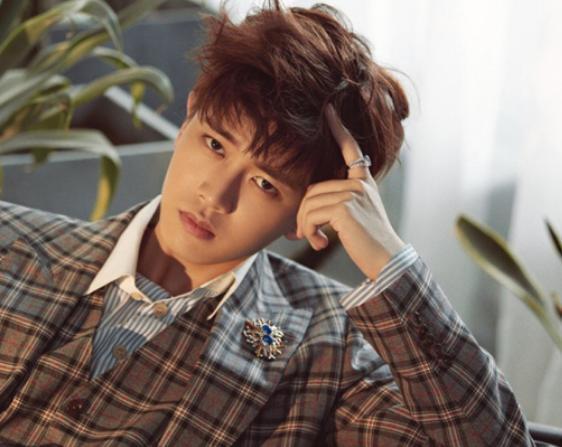 韩国帅哥明星网红是谁,揭秘当红帅哥明星网红