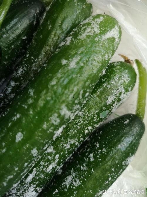 今日的瓜有点多啥意思,热点事件盘点