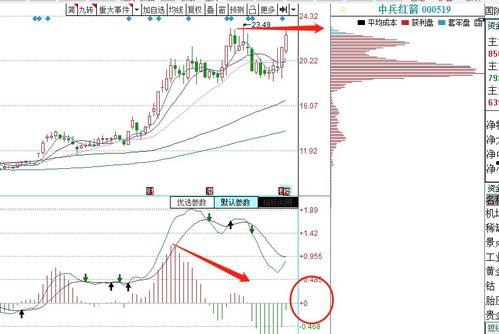 吊瓜今日价格走势,今日走势解析