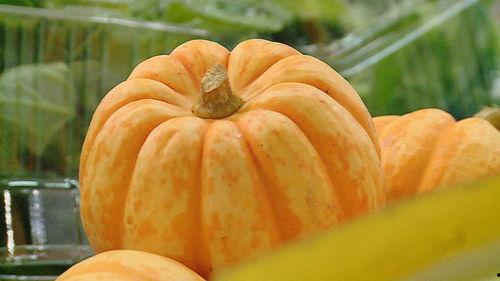 今日小瓜,揭秘热点背后的故事