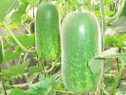 51cg10今日大瓜吃瓜中心,揭秘娱乐圈最新热点事件