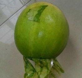 临海今日吃瓜事件最新情况,最新进展揭秘