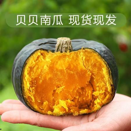 今日绿板栗瓜价格,市场波动下的新动态