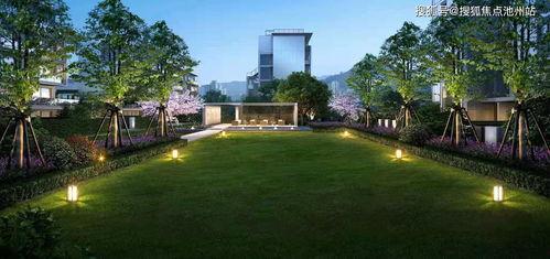 吊瓜今日行情走势最新视频,今日走势深度剖析