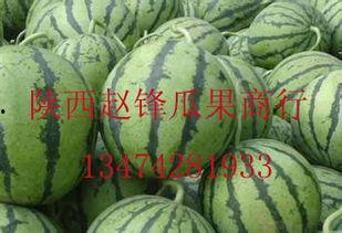 哈密瓜今日行情批发价,价格波动解析与市场趋势洞察”