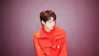 少年感明星网红是谁呀