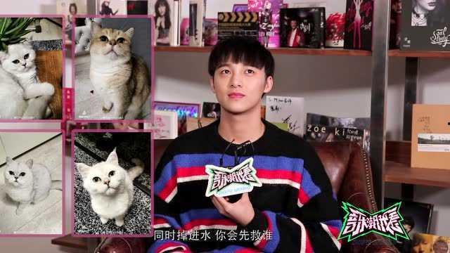 明星网红小杨直播视频