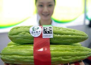 海口今日瓜菜价,市民菜篮子成本几何？