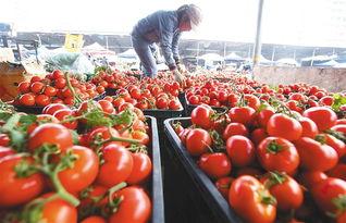 海口今日瓜菜价,市民菜篮子成本几何？