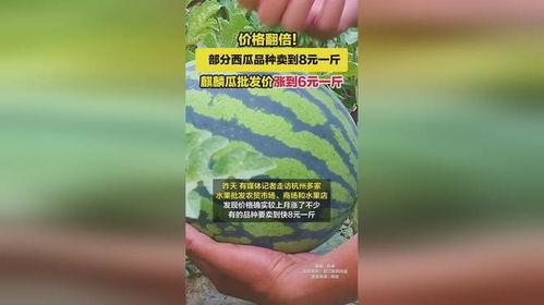 麒麟瓜批发今日价格行情