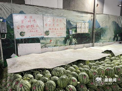 麒麟瓜批发今日价格行情