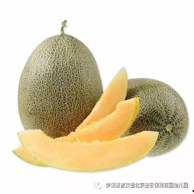 海南东方哈密瓜今日最新价格,价格行情一览