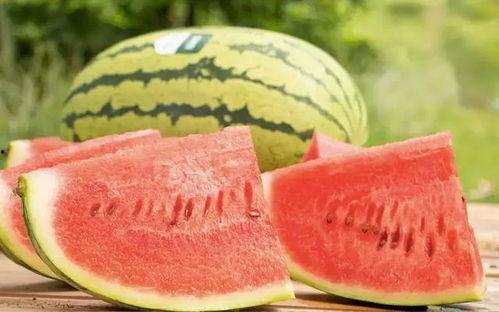 昆明今日生瓜价格,波动中寻求平衡