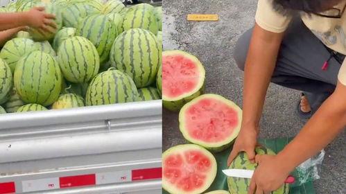 昆明今日生瓜价格,波动中寻求平衡