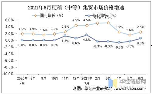 瓠瓜今日价格行情走势,今日行情走势解析