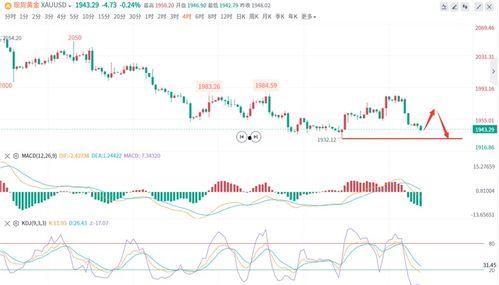 瓠瓜今日价格行情走势,今日行情走势解析