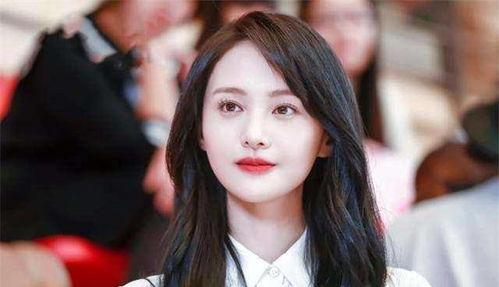 明星网红历史排名榜,盘点历史排名榜上的璀璨星辰