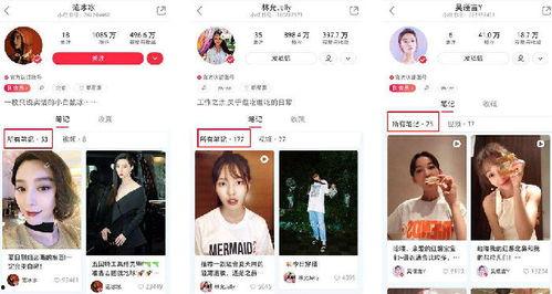 明星网红入驻小红书,明星网红集结！小红书迎来新一轮流量盛宴