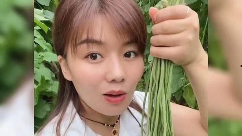 山东菏泽明星网红有哪些,山东菏泽网红明星风采掠影