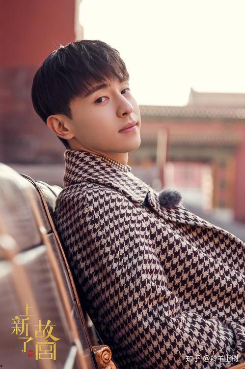 北京都有哪些明星网红,璀璨星光下的网络新势力