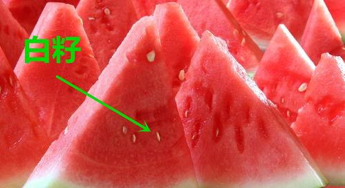 今日宜吃瓜壁纸,揭秘娱乐圈最新热点，壁纸带你一探究竟