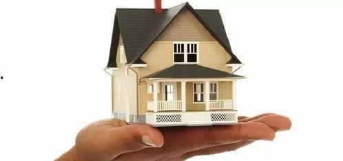 明星网红侵权怎么处理好,维权与合规并行