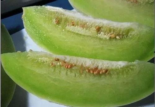 瓜州蜜瓜今日啥价格,品质之选，价格亲民