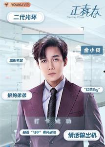 电视剧正青春,奋斗与成长的青春之歌