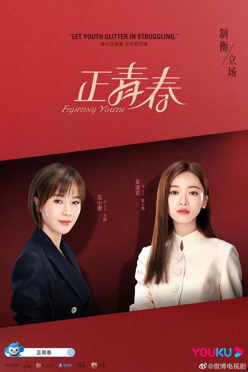 电视剧正青春,奋斗与成长的青春之歌