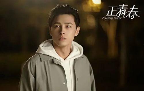 电视剧正青春,奋斗与成长的青春之歌