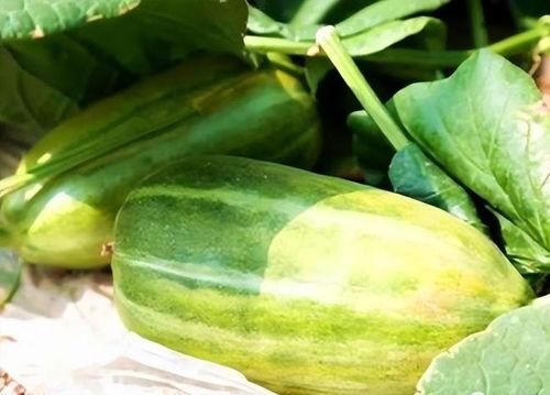 今日分享瓜,揭秘娱乐圈最新热点事件