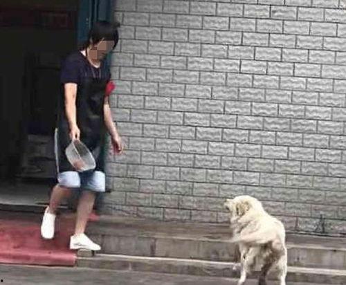 乞讨明星网红哪里去了,昔日乞讨明星网红今何在？