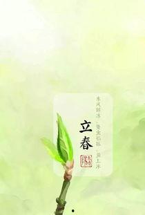 今日立春吃瓜视频图片,跟随视频探寻传统美食文化