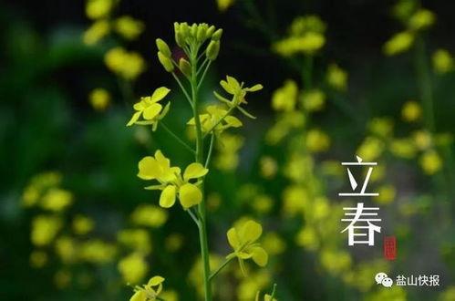 今日立春吃瓜视频图片,跟随视频探寻传统美食文化