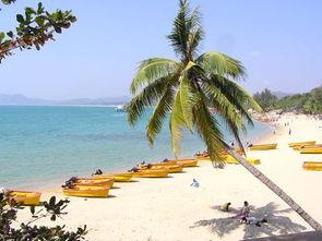 海南三亚今日瓜价,热带鲜甜，价格行情一览