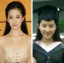 明星网红图片在线观看