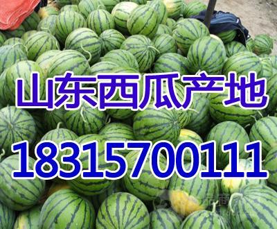 今日乳瓜批发价,市场行情波动，价格涨跌不一