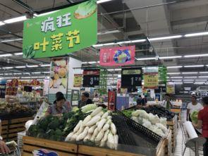 郑州万邦乳瓜今日价格,行情波动下的市场动态