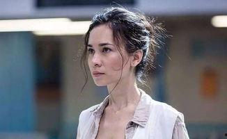 老外明星网红有哪些名字