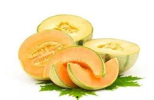 唐山哈密瓜今日价格,价格行情一览”