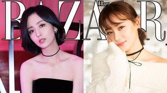 明星网红吃冰块视频下载,明星网红挑战极限，冰块视频下载热潮来袭