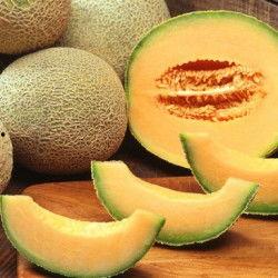 阿拉善哈密瓜今日价格行情,价格行情一览无余”