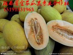 阿拉善哈密瓜今日价格行情,价格行情一览无余”