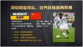 中国全明星网红有哪些,网络红人的璀璨星光