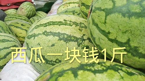 今日的瓜价多少一斤,XX元/斤，畅享夏日清凉佳品