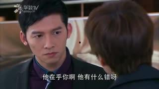 如果爱电视剧,探寻爱情与命运的交织之旅