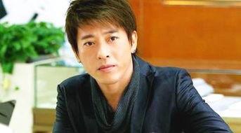 明星网红阿峰是谁,从明星到网络红人的华丽转身