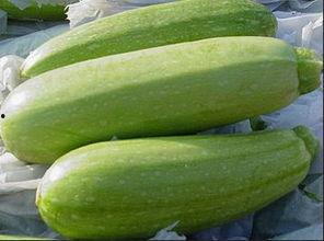 葫芦瓜今日报价,市场行情一览，价格波动解析”