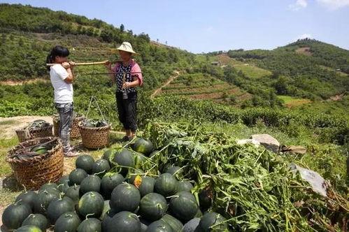 青海浪山今日吃瓜爆料
